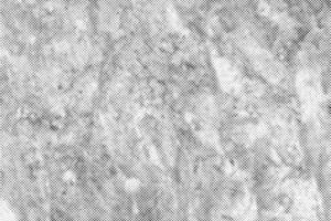 Grunge dost texture, Halftone abstract background. vector