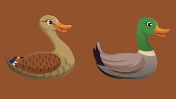 Duck and goose character flat illustration vector