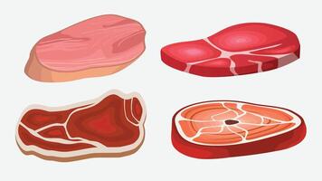 various types of Meat slices of ham and beef illustration vector