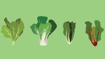 A set of four types of vegetables on a green background vector