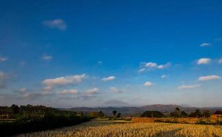 Beautiful view of rice fields after harvest with a background of mountains and hills under the blue sky photo