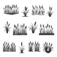 Set of black and white illustrations of reeds vector