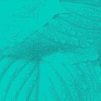 abstract halftone background in turquoise and black tones vector