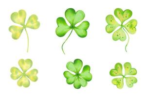 Set of shamrock and four leaf clover for good luck on St. Patrick's Day. Illustration with watercolors and markers.Hand drawn isolated sketch. Clip art of botanical spring holiday, clover mascot vector