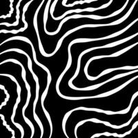 monochrome abstract background black and white hand drawn wavy lines with topographic contour for decoration vector