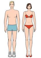 Figures of man and woman. The template for design vector