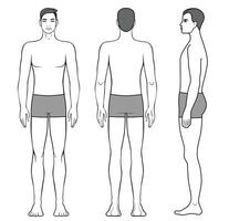 Illustration of men body. Front, back and side view vector
