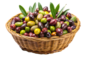 Lots of Olive in a basket isolate on transparency background png