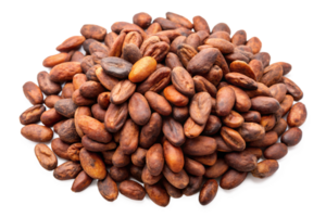 cocoa beans isolate on transparency background png