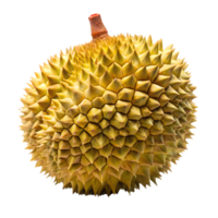 Durian isolate on transparency background png