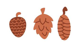 Pine cones of various shapes flat color objects set. Natural elements for Christmas themed project illustrations pack on white vector