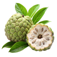 Custard apple isolate on transparency background png