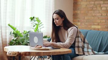 A young adult sits on a couch with a laptop, deeply focused on the screen. A plate of snacks sits on the wooden coffee table nearby, and sunlight streams through the window. video