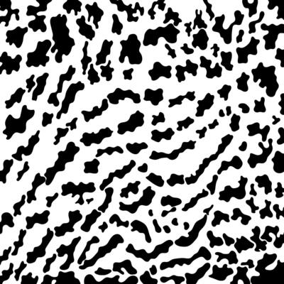 Abstract animal skin tiger, cheetah, Jaguar, panther, leopard animal skin print pattern design.