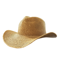 3d straw hat with a wide brim perfect for summer on a transparent background png