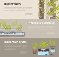 Collection of web banners with plants growing in pots with mineral solution and place for text. Hydroponic gardening systems advertisement or promotion. Colorful illustration in flat style. vector