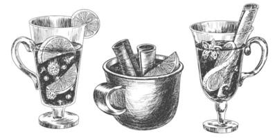 Set of different glasses with mulled wine. Sketch style mug of mulled wine. Engraving style Christmas drinks with spices, orange, cinnamon. Black and white hand drawn illustration with winter drinks vector