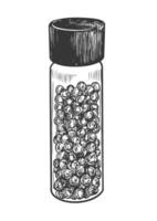 Engraving style pepper grinders on white background. Sketch style container with allspice. Hand drawn allspice in a glass jar. Black and white illustration with hatching vector