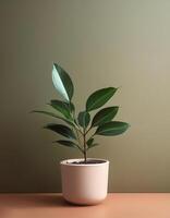 Small plant in a simple pot on a Minimalist background photo