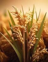 Rice in the field on an earthy brown background, emphasizing the natural and organic elements photo