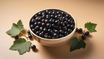Black currants in a bowl, surrounded on a beige background photo