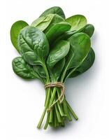 Green spinach over white background photo