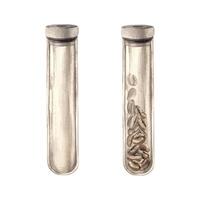 Glass long empty flask with lid and filled flask with roasted aromatic coffee beans. Watercolor set of isolated hand-drawn drawings. Suitable for decorating shops, cafes, banners, postcards. vector