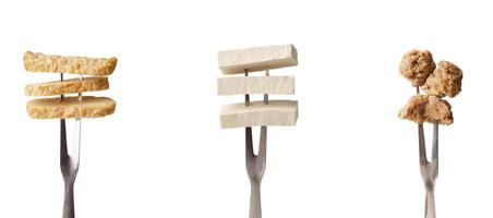 Vegan appetizers. Soy meat, soybean cheese Tofu and Tempeh on forks, isolated on white, panorama photo