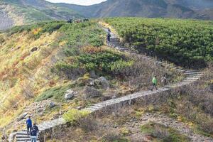 Murodo, Tateyama Kurobe Alpine Route, Japan, A scenic pathway winds through a vibrant green landscape, populated with hikers photo