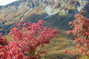 Kurobedaira Station, Tateyama, Toyama, Chubu, Japan, A vibrant autumn landscape featuring red foliage in the foreground, set against a backdrop of rolling mountains and colorful hills. photo