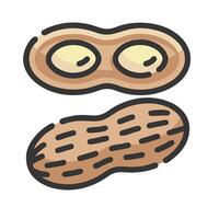 Two peanuts are shown on a white background vector