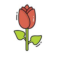 A red tulip flower on a white background vector