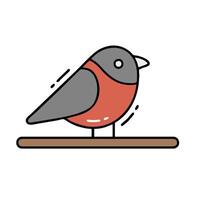 Bird on a perch illustration vector