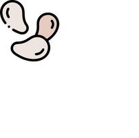 A cartoon drawing of two peanuts vector
