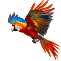 Red Parrot Flying with Colorful Wings Isolated on Transparent Background png