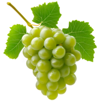 Green Grape with Leaf Isolated on Transparent Background png