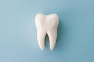 Prominent tooth displayed against light blue background, showing triangular shape photo