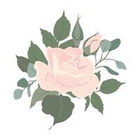 Light pink roses and eucalyptus branches bouquet. Composition of beautiful flowers of different shapes, buds and blossoms isolated on background. floral illustrations in cardboard flat style. vector