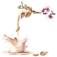 Flowing almond tree nut milk with milky splashes. Watercolor peeled and in shell nuts for yogurt, cream dairy. Plant based drink label. Vegetarian hand drawn healthy food design on isolated background png
