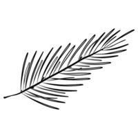 Hand drawn spruce branch isolated on white background vector