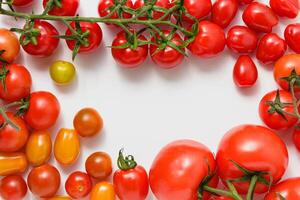 Variety of tomatoes on white background with copy space. photo