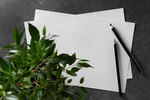 Watercolor A4 paper with black pencils and plant on dark background. photo