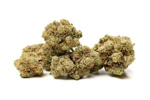 Marijuana flowers isolated on white background photo