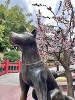 Batu, Indonesia - September 16, 2024. Statue of Hachiko who is a loyal dog in Japan. photo