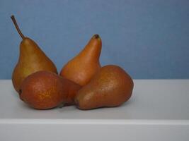 Beurre Bosc pears at a blue background photo