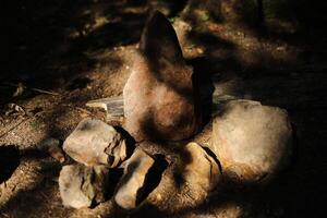 Stones in the sunlight. Ancient rocks standing in a forest. Sedimentary rocks. photo