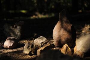 Stones in the sunlight. Ancient rocks standing in a forest. Sedimentary rocks. photo