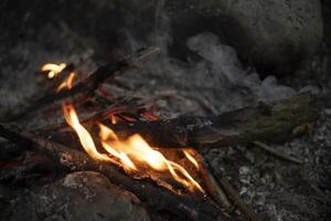 A fire in the woods. Flames from firewood. Picnic in the wilderness. photo