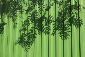Shadow on the wall. Shadow of rowan leaves on green wall. Silhouette of a tree branch. photo