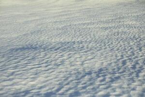 The texture of the snow. Snowy field. Thawed surfaces. photo
